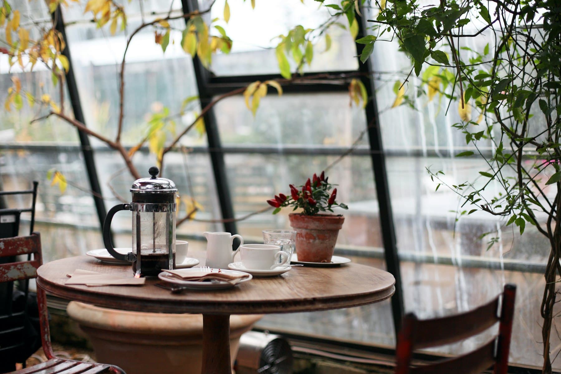 A fresh cup on the counter